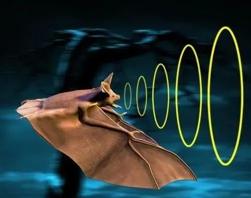 圖片4.png 圖片4.png